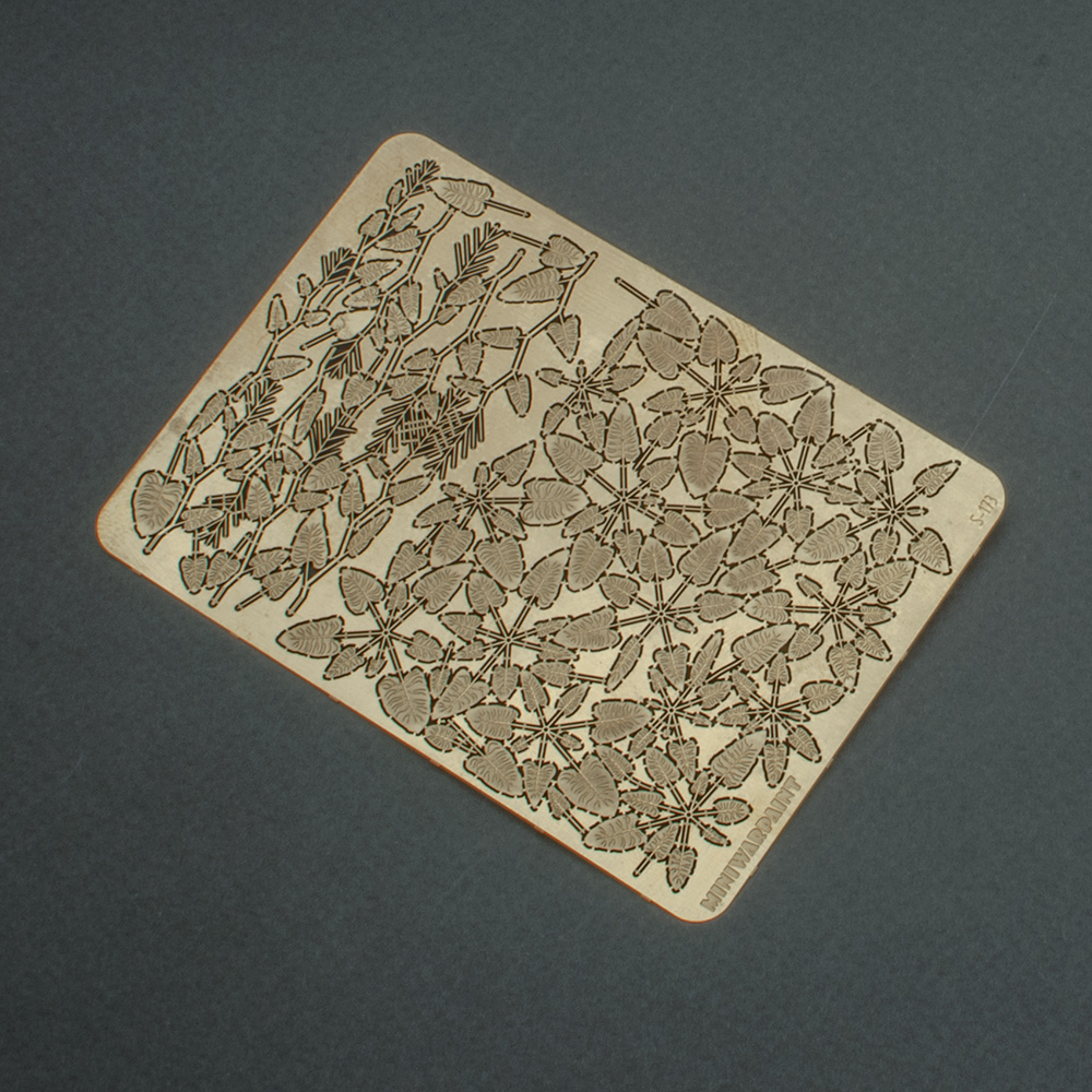 S173MWP Конский щавель, размер M