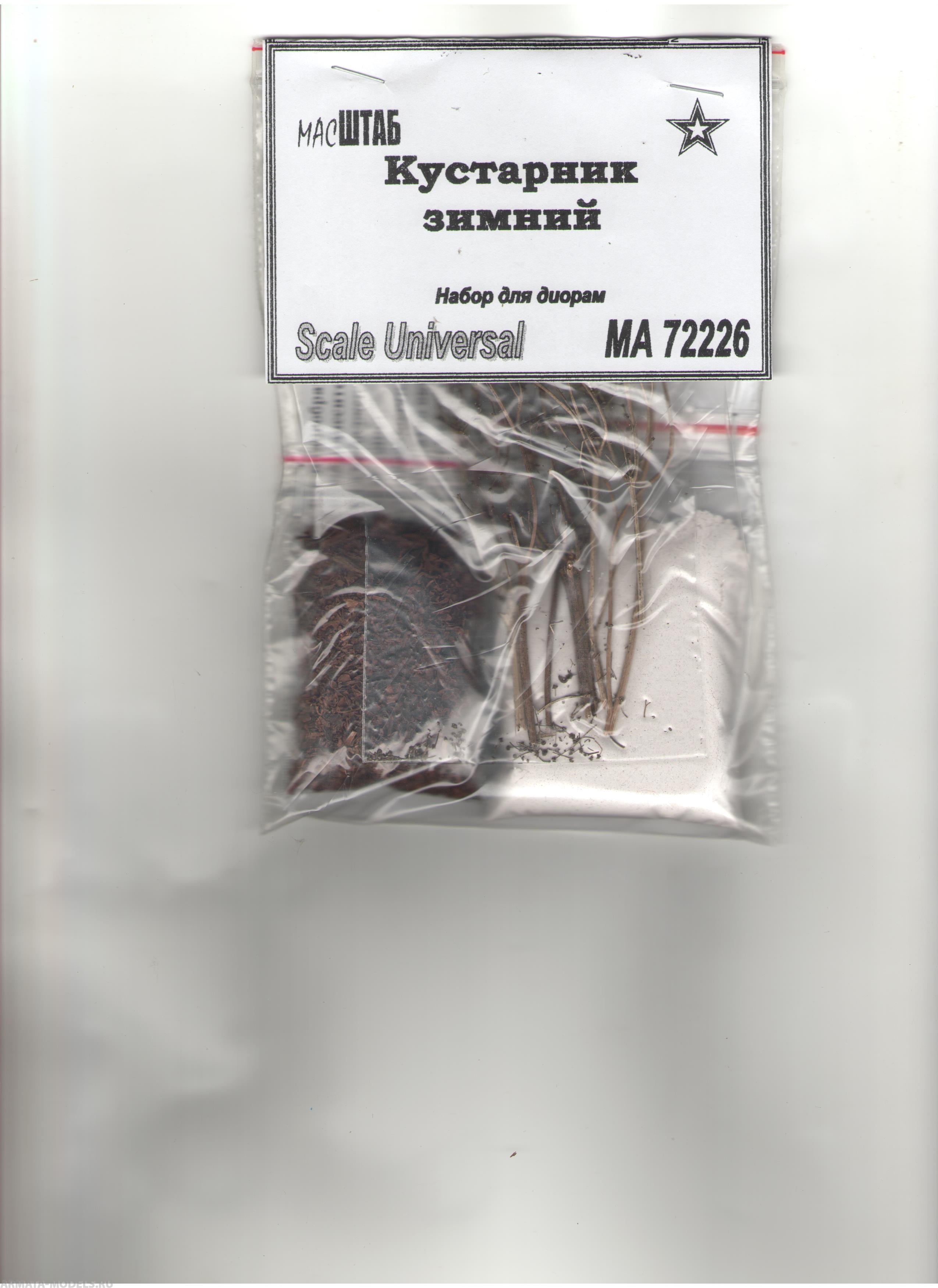 72226 Кустарник зимний