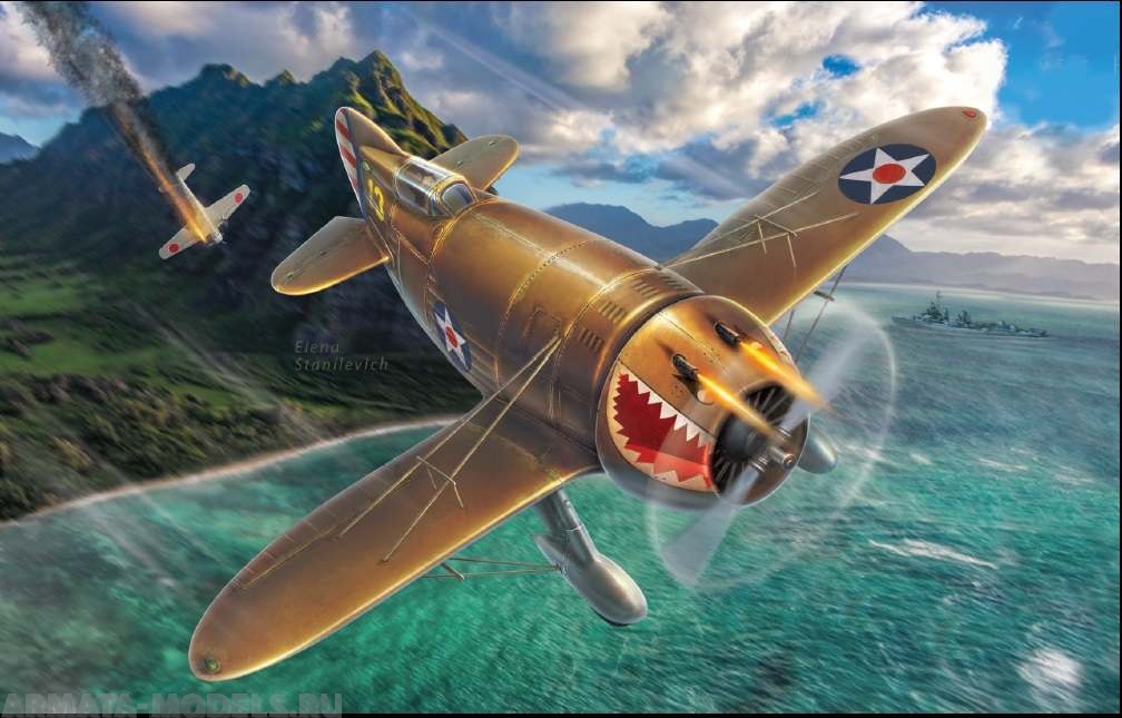 DW48010 Самолет P-45B Bee Killer Dora Wings