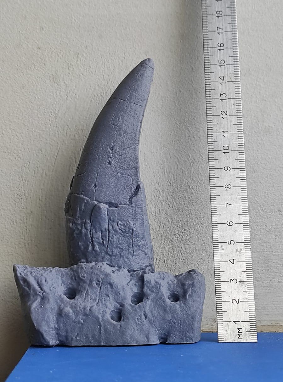 DINO10001 Зуб тиранозавра