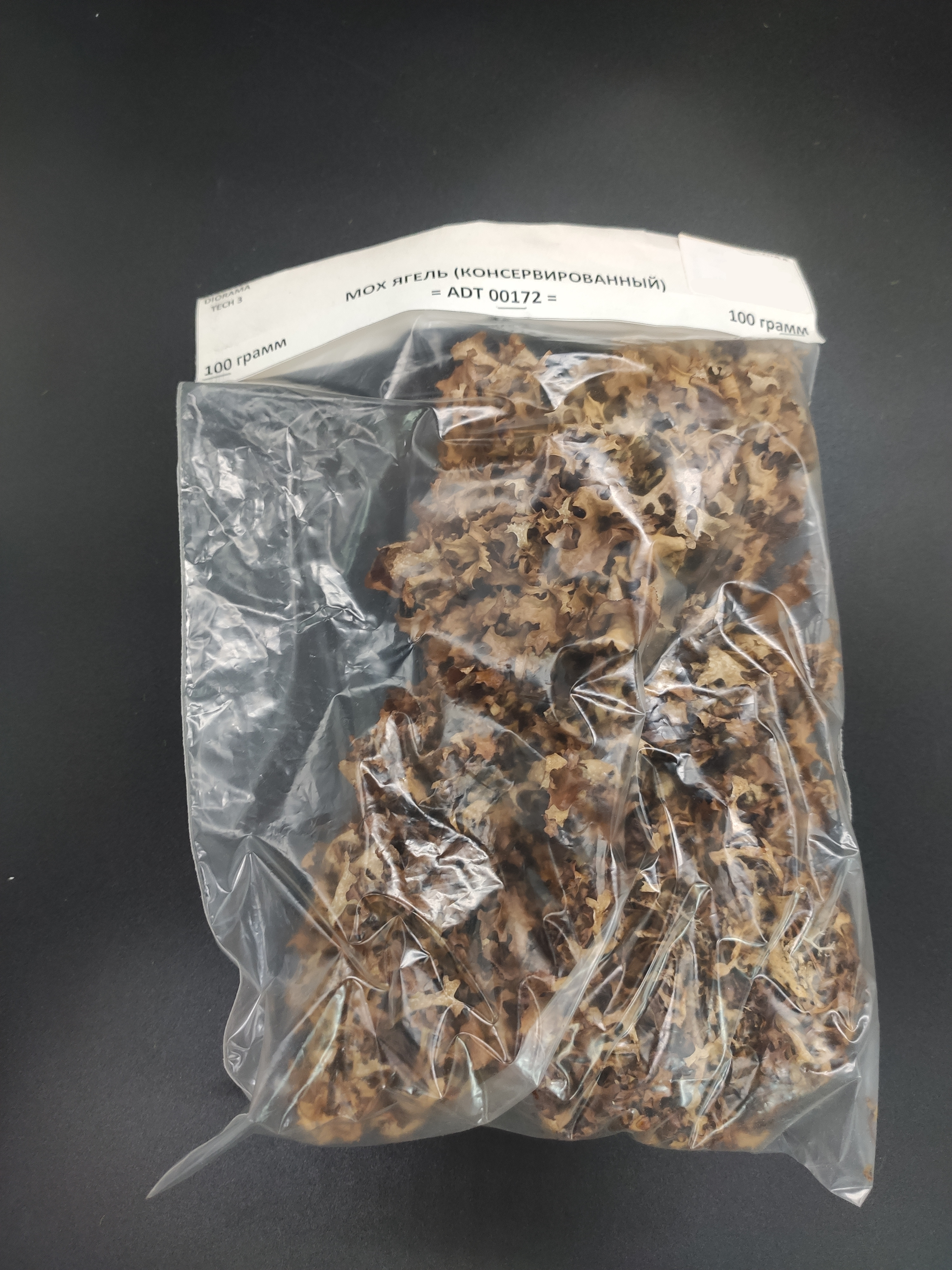 ADT00172 мох макетный - ягель