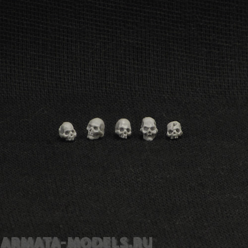 Skulls (5 pcs) BROTHER VINNI's