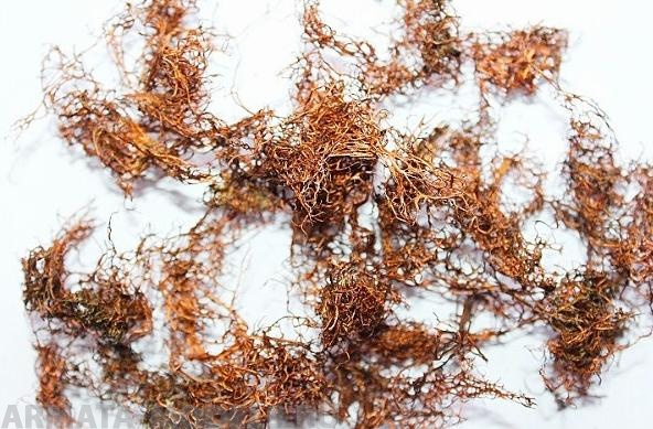 3095 Мох стабилизированный, зелёный