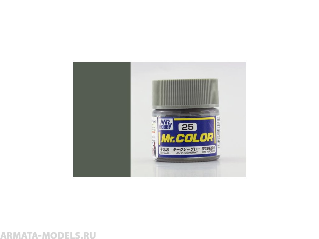 C025 Краска 10мл  DARK SEAGRAY