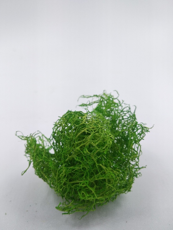 3015 Кусты светло-зелёные