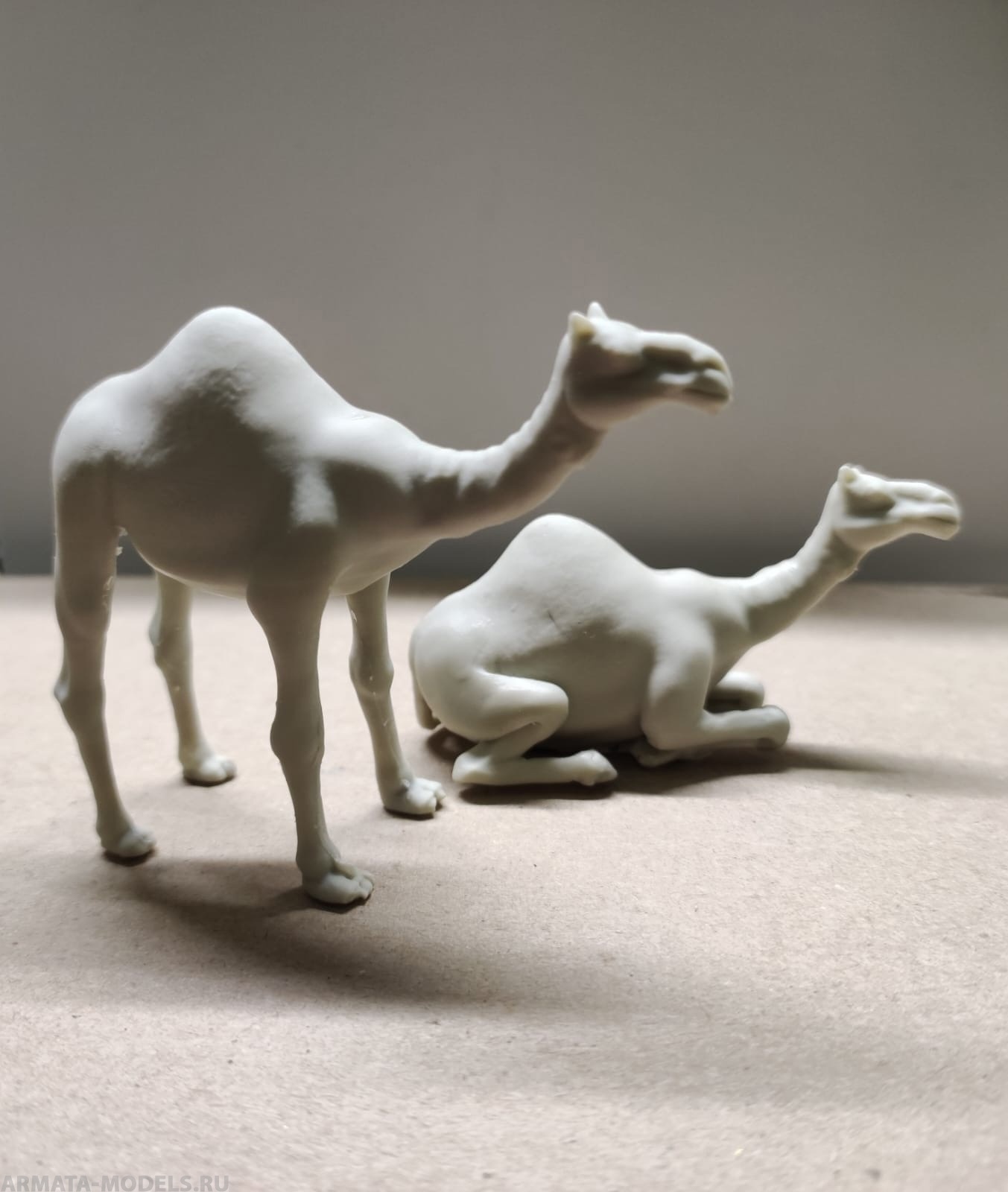 AM35648 Фигуры верблюдов 2 шт.