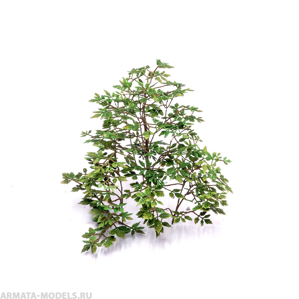 S-246 Ветви ясенелистного клена , размер М