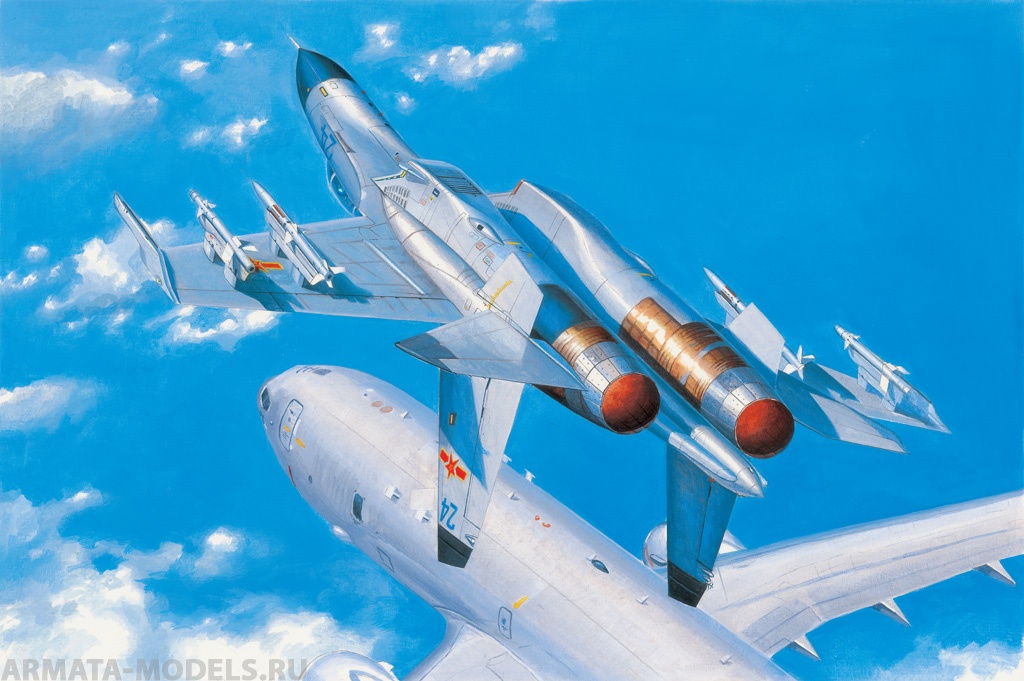 81715 Самолет PLA J-11B (экспортная версия Су-27) Hobby Boss