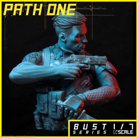 MR-AM19 Бюст Path One Alternity Miniatures