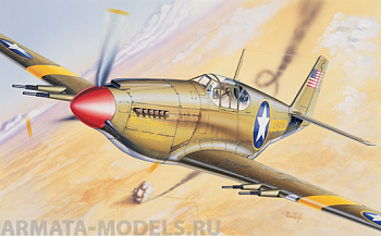 090ИТ Самолет P-51 Mustang Razorback