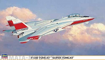 00898 Самолет F-14B